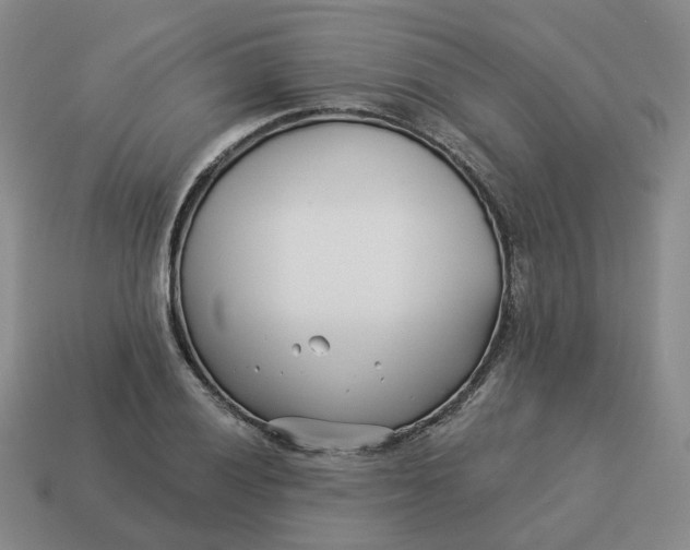 X0000114511028200911091125