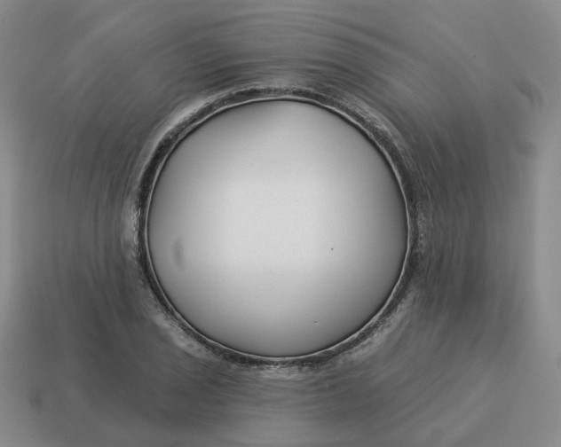 X0000114511029200911091125