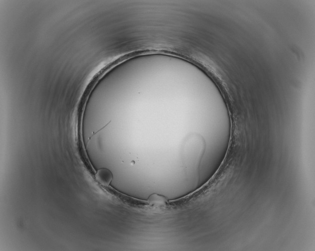 X0000114511032200911091125