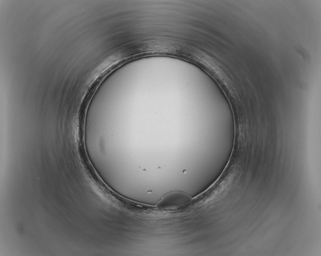 X0000114511034200911091125