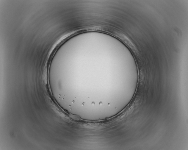 X0000114511036200911091125