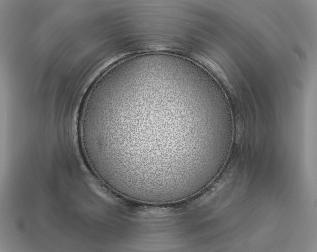 X0000114511039200911091125