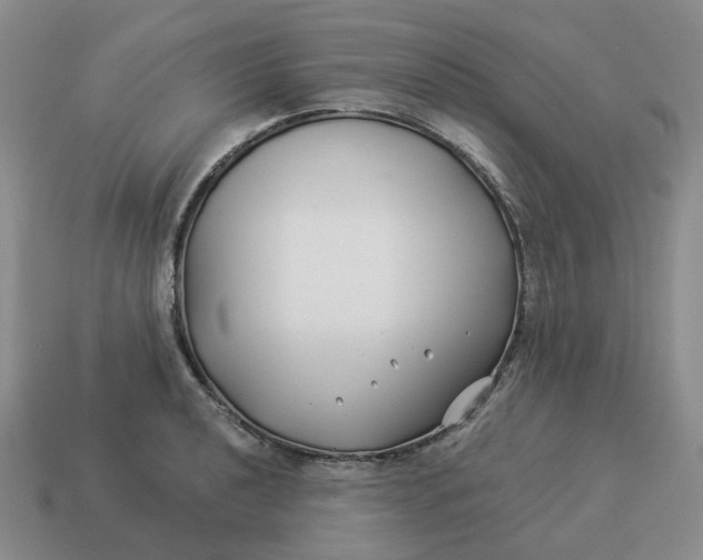 X0000114511040200911091125