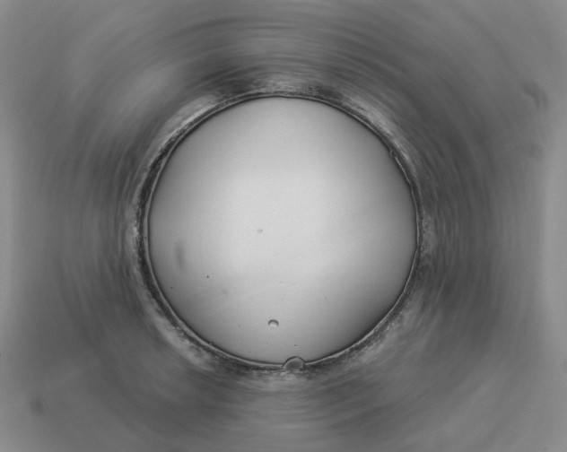 X0000114511042200911091125