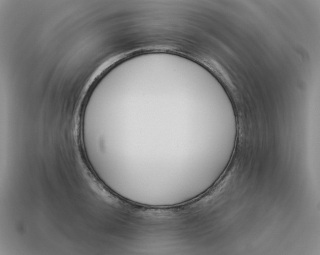 X0000114511044200911091125