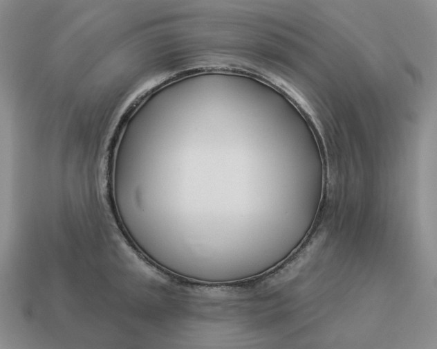 X0000114511045200911091125