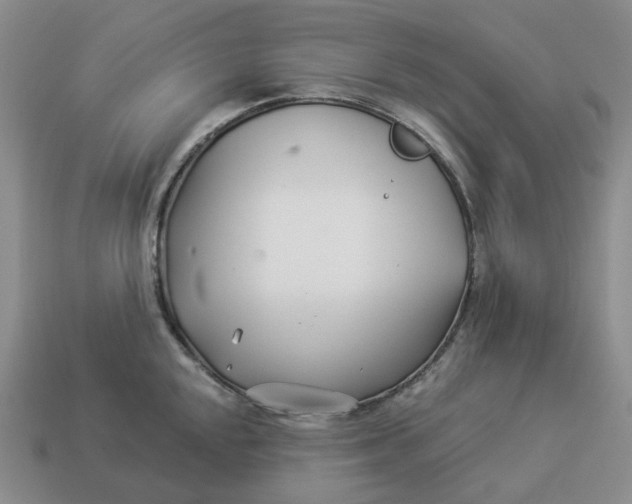 X0000114511048200911091125