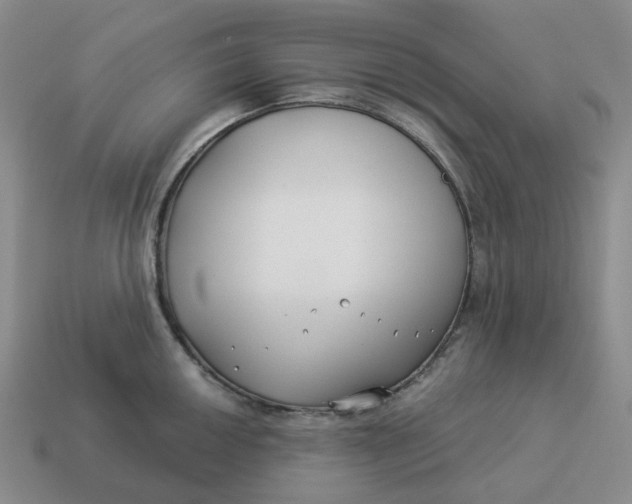 X0000114511050200911091125