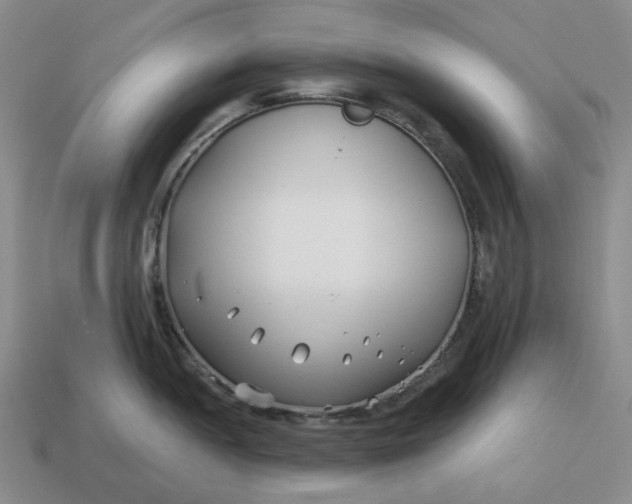 X0000114511052200911091126