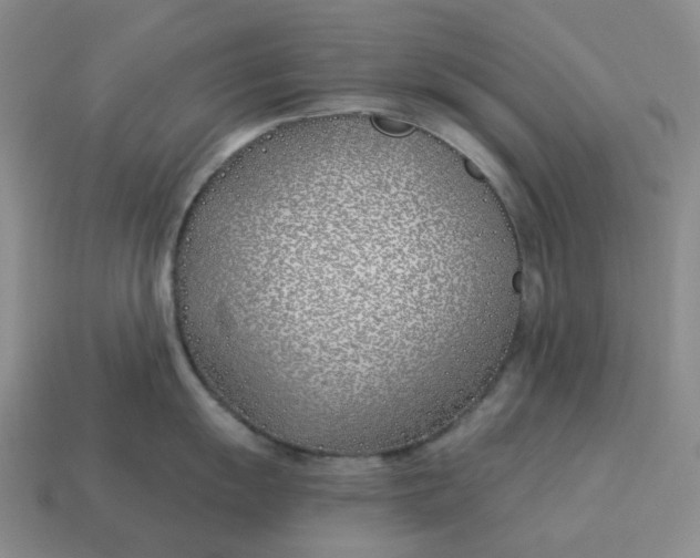 X0000114511055200911091126