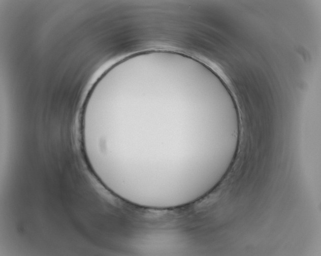 X0000114511056200911091126