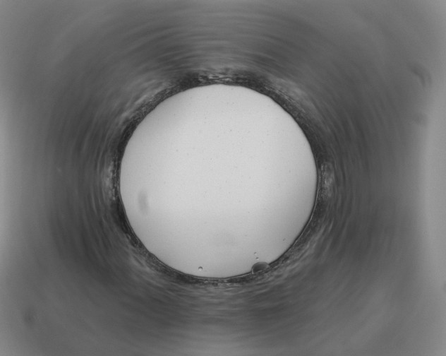 X0000114511060200911091125