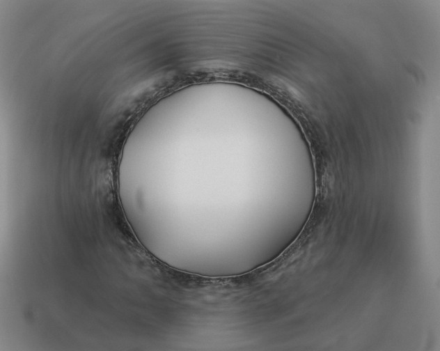 X0000114511062200911091125