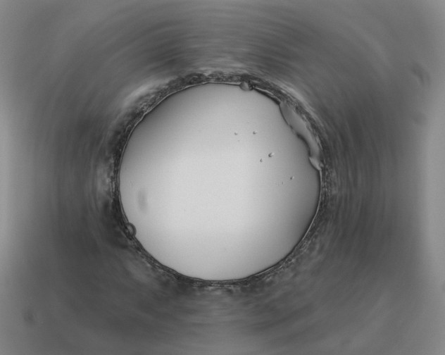 X0000114511063200911091125