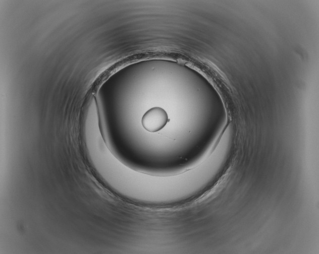 X0000114511065200911091125