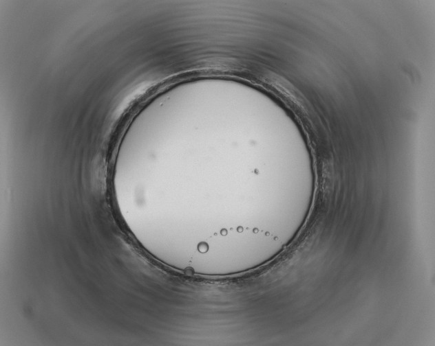 X0000114511067200911091125