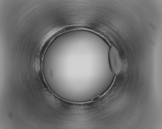 X0000114511069200911091125