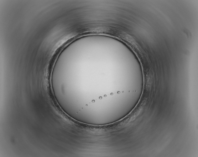 X0000114511071200911091125