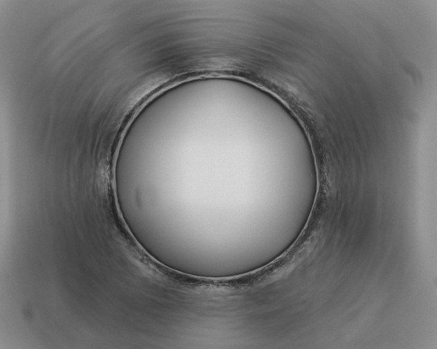 X0000114511073200911091125