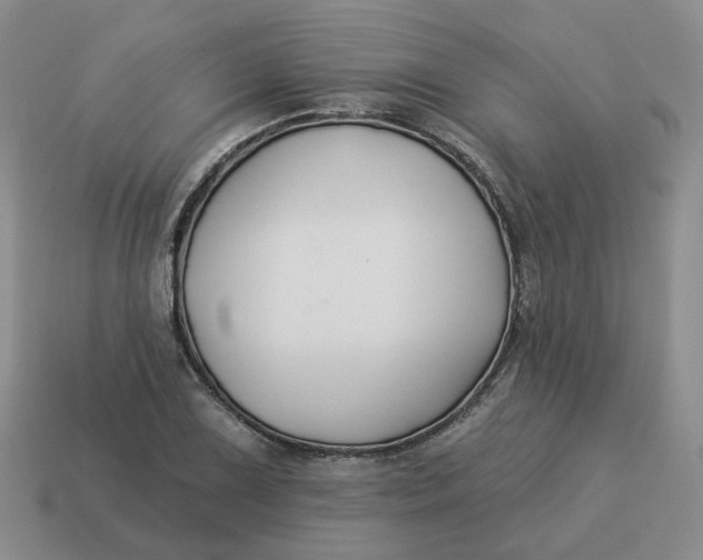 X0000114511075200911091125