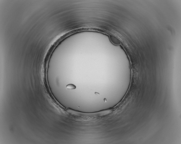 X0000114511076200911091125