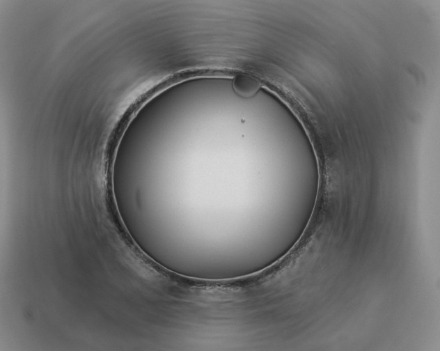 X0000114511077200911091125