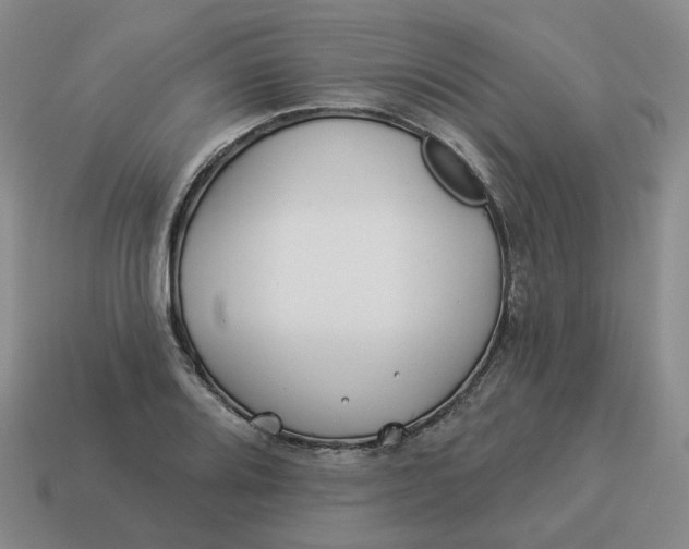 X0000114511080200911091125