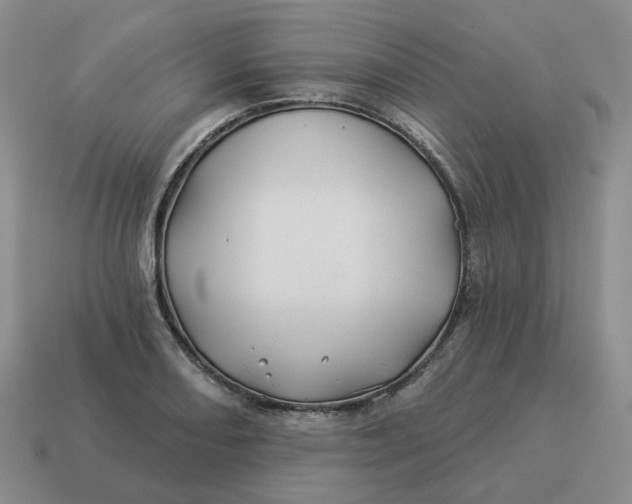 X0000114511082200911091125