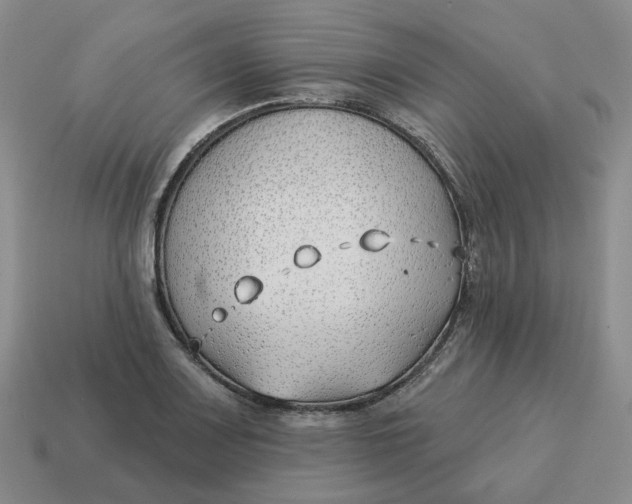 X0000114511083200911091125