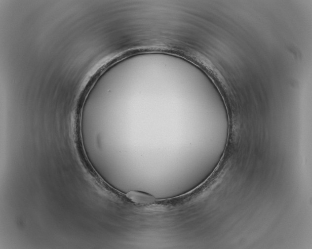 X0000114511085200911091125