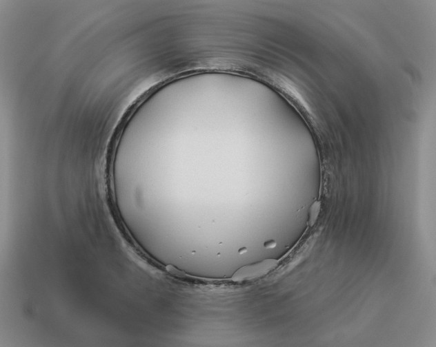 X0000114511087200911091125