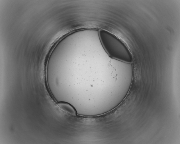 X0000114511088200911091125