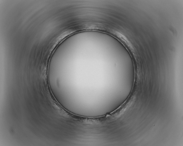 X0000114511089200911091125