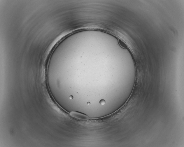 X0000114511092200911091125