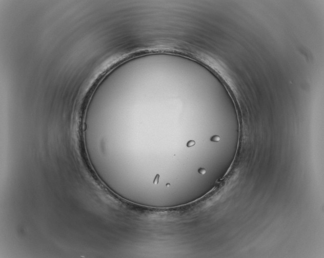 X0000114511093200911091124