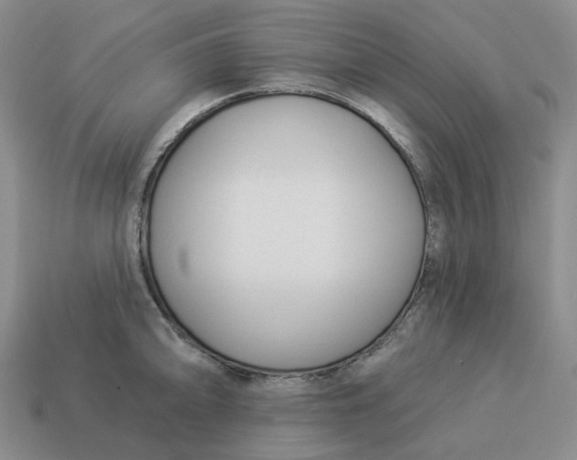 X0000114511094200911091124