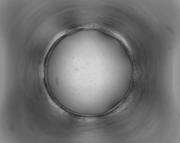 X0000114511095200911091124