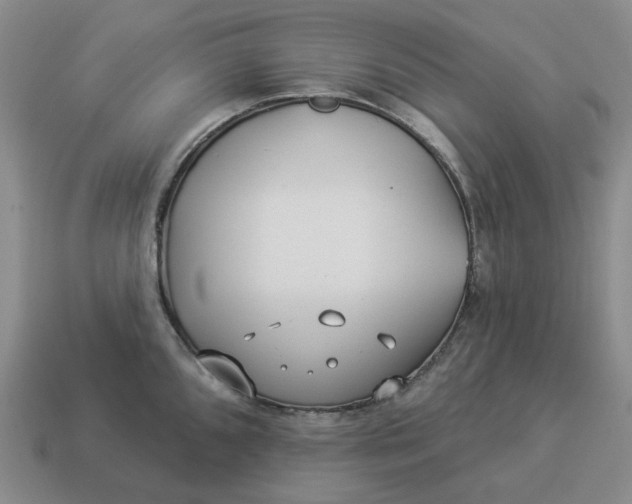 X0000114511096200911091124