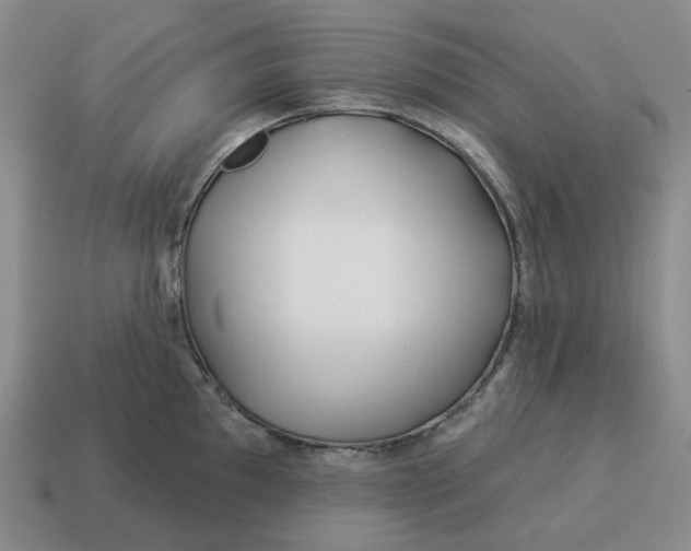 X0000114511097200911091124