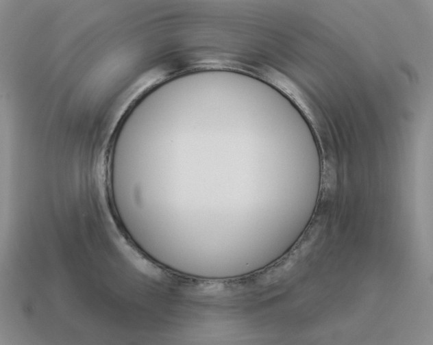 X0000114511098200911091124