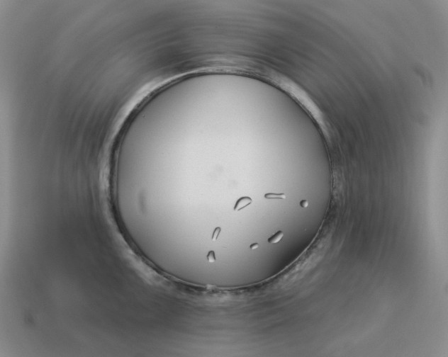 X0000114511099200911091124