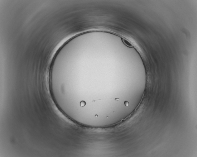 X0000114511100200911091124