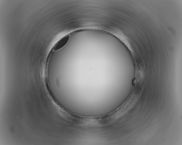 X0000114511101200911091124