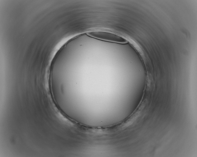 X0000114511102200911091124