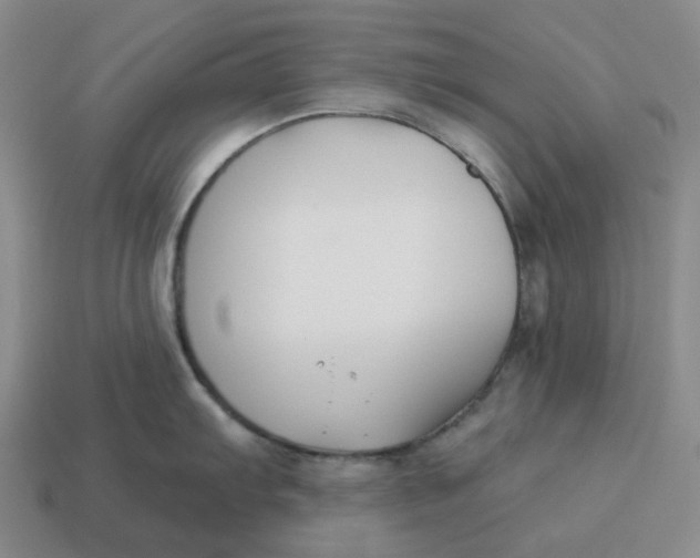 X0000114511103200911091124