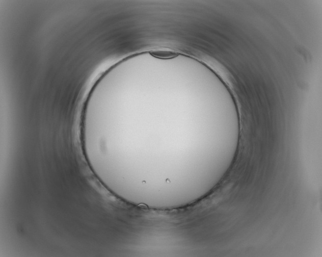 X0000114511104200911091124