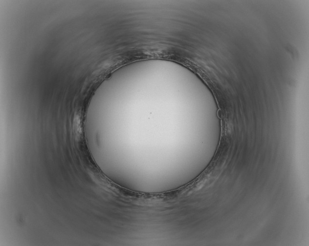 X0000114511106200911091124