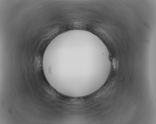 X0000114511107200911091124