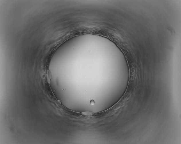 X0000114511109200911091124