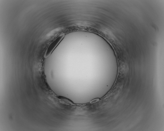 X0000114511110200911091124